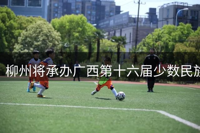 柳州将承办广西第十六届少数民族运动会